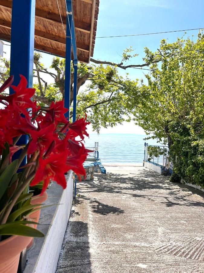 Αγκυροβόλιο Hotel Ilia Luaran gambar